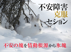 Dream Artのプレスリリース画像1