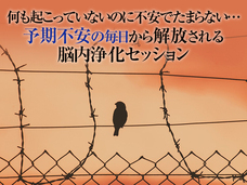 Dream Artのプレスリリース画像1