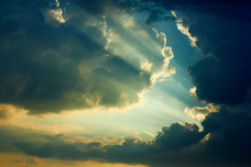 Dream Artのプレスリリース画像1