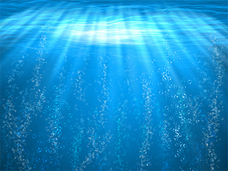 Dream Artのプレスリリース画像2