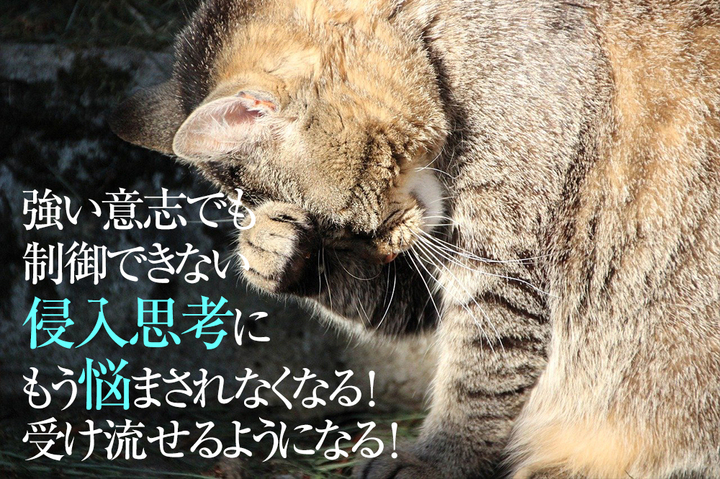 【辛い侵入思考の改善克服方法】無視できない、気持ち悪い、ストレス、怖い…どの治し方でも侵入思考が治ったことがない人へ根本原因の改善技術を提供(強迫性障害の思考)