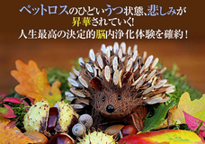 Dream Artのプレスリリース画像4