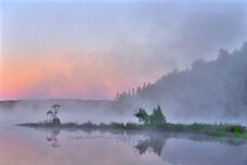 Dream Artのプレスリリース画像3