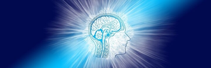 潜在能力を引き出すには 自分の潜在力が開花 人間の潜在的な能力を一瞬で開花させる脳覚醒技術が開発 脳リミッター完全解除が可能 潜在能力解放と潜在能力診断 Dream Art Laboratoryのプレスリリース 潜在能力を引き出すには 自分の潜在力が開花 人間の潜在的な能力を一瞬で開花させる脳覚醒技術が開発 脳リミッター完全解除が可能 潜在能力解放と潜在能力診断 Dream Art Laboratoryのプレスリリース