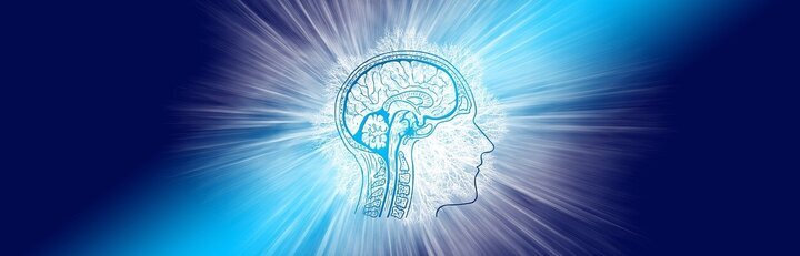 空間認識能力を鍛える方法 大人の低い空間認識能力でも劇的に鍛える方法がある 仕事で成功を収める脳になれる脳覚醒技術 空間認識能力が高い人の特徴とは Dream Art Laboratoryのプレスリリース 空間認識能力を鍛える方法 大人の低い空間認識能力でも劇的に鍛える方法がある 仕事で成功を収める脳になれる脳覚醒技術 空間認識能力が高い人の特徴とは Dream Art Laboratoryのプレスリリース