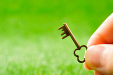 Dream Artのプレスリリース画像2