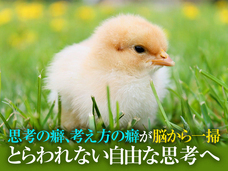 Dream Artのプレスリリース画像2