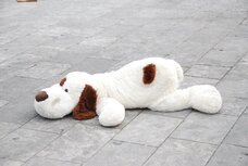 Dream Artのプレスリリース画像6