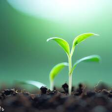 Dream Artのプレスリリース画像1