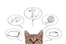 Dream Artのプレスリリース画像6