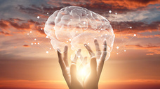 Dream Artのプレスリリース画像1