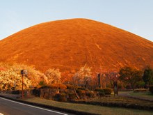 Dream Artのプレスリリース画像4