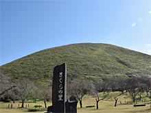 Dream Artのプレスリリース画像3