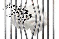 Dream Artのプレスリリース画像10