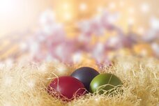 Dream Artのプレスリリース画像10