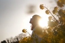 Dream Artのプレスリリース画像2