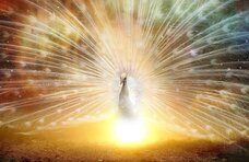 Dream Artのプレスリリース画像9