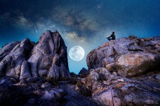 Dream Artのプレスリリース画像6