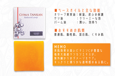 株式会社奄美ポイントラインのプレスリリース画像1