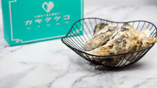 ジオ・コスモス株式会社（代理店）のプレスリリース画像2