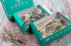 ジオ・コスモス株式会社（代理店）のプレスリリース画像3