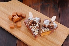 ジオ・コスモス株式会社（代理店）のプレスリリース画像4