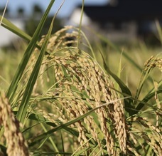 ジオ・コスモス株式会社（代理店）のプレスリリース画像2