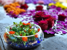 ジオ・コスモス株式会社（代理店）のプレスリリース画像1