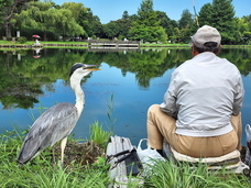 ジオ・コスモス株式会社（代理店）のプレスリリース画像2