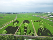 ジオ・コスモス株式会社（代理店）のプレスリリース画像3