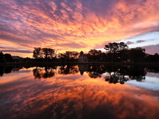 ジオ・コスモス株式会社（代理店）のプレスリリース画像4