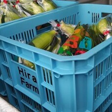 株式会シンクのプレスリリース画像4