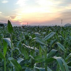 株式会シンクのプレスリリース画像2