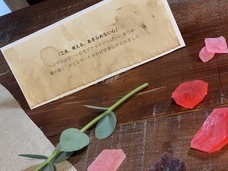 TORICOのプレスリリース画像6