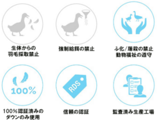 合同会社RAMTITOのプレスリリース画像2