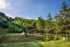 株式会社サンライズのプレスリリース画像8