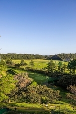 株式会社サンライズのプレスリリース画像6