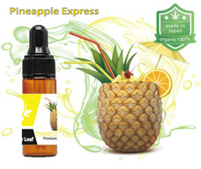 サイバーリーフのプレスリリース画像8