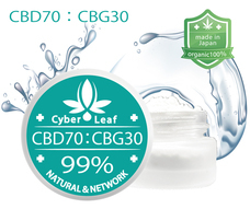 サイバーリーフのプレスリリース画像3