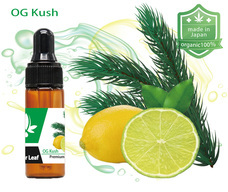 サイバーリーフのプレスリリース画像2