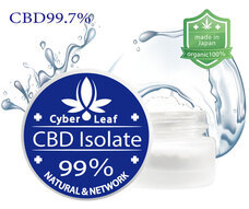 サイバーリーフのプレスリリース画像3