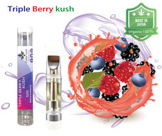 サイバーリーフのプレスリリース画像6