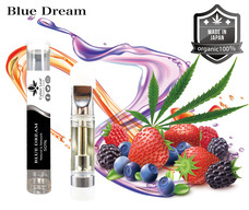 サイバーリーフのプレスリリース画像4