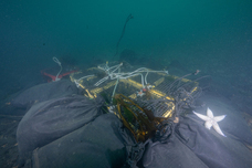 ベルトラ株式会社のプレスリリース画像1