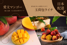 ベルトラ株式会社のプレスリリース画像1