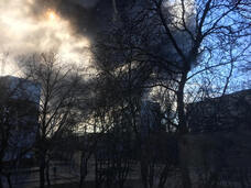 ベルトラ株式会社のプレスリリース画像1