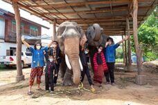 ベルトラ株式会社のプレスリリース画像1