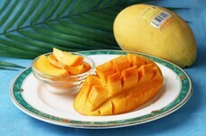 ベルトラ株式会社のプレスリリース画像1