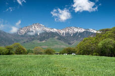 ベルトラ株式会社のプレスリリース画像1