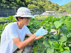 ベルトラ株式会社のプレスリリース画像1